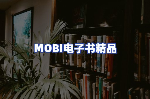 外文电子书产品