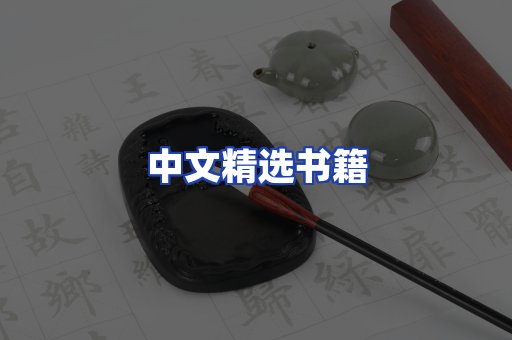 中文精选书籍
